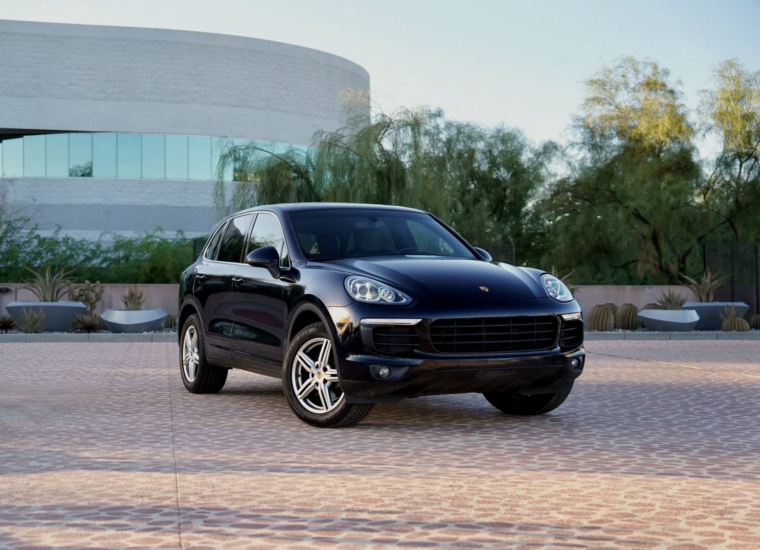 Cayenne photo 2