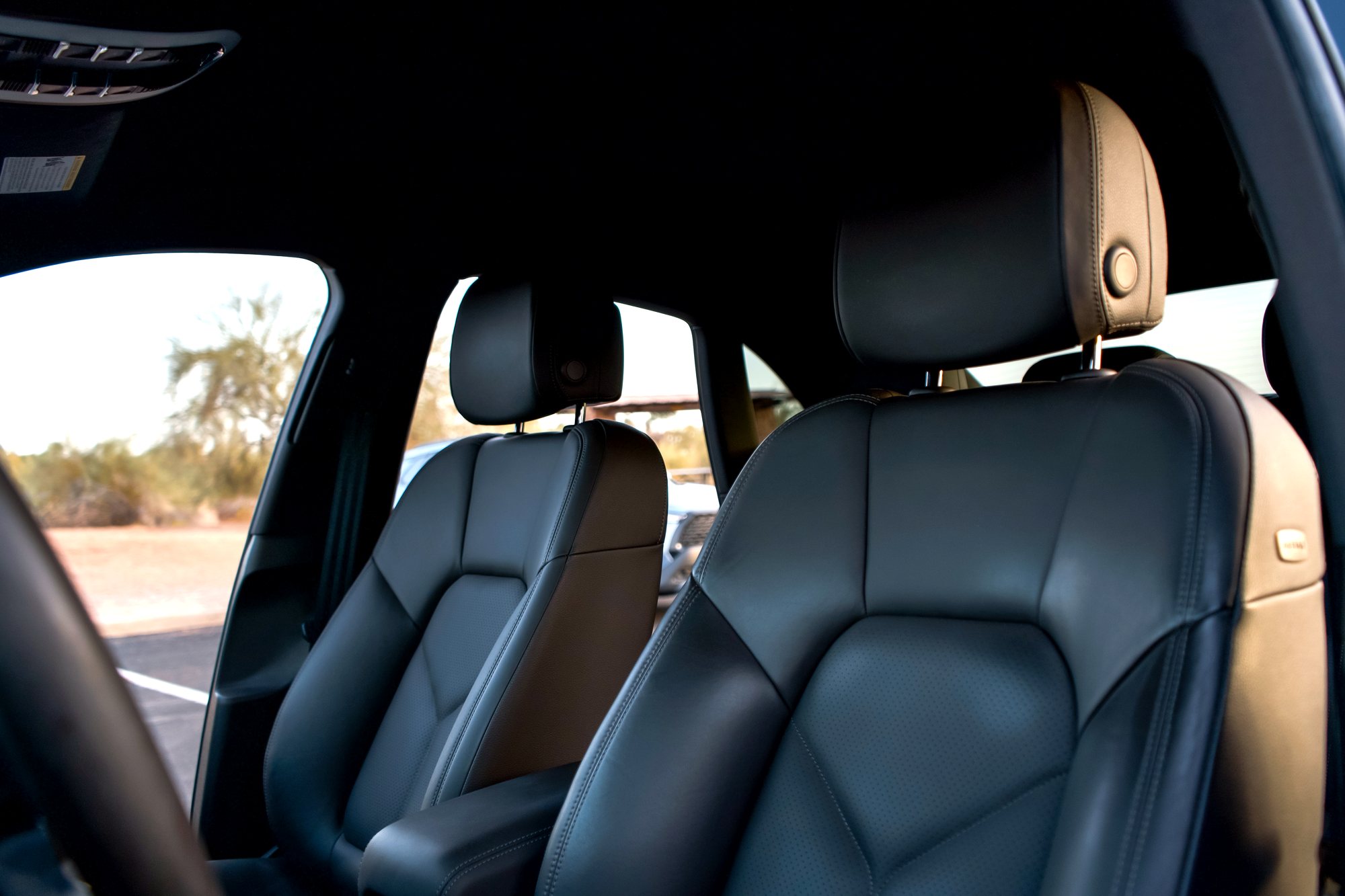 Macan photo 14